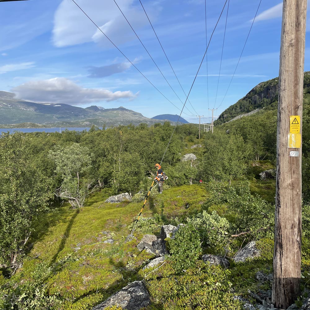 Man som arbetar i naturen